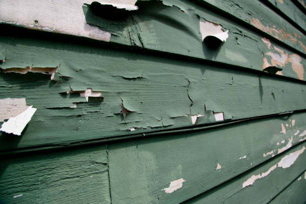 Best Siding for New Construction  in North Bend, WA